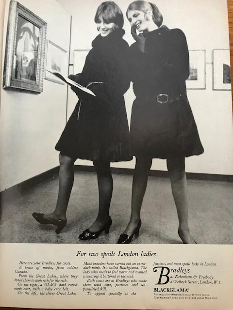 A Vogue advertisement for Blackglamma furs 1969